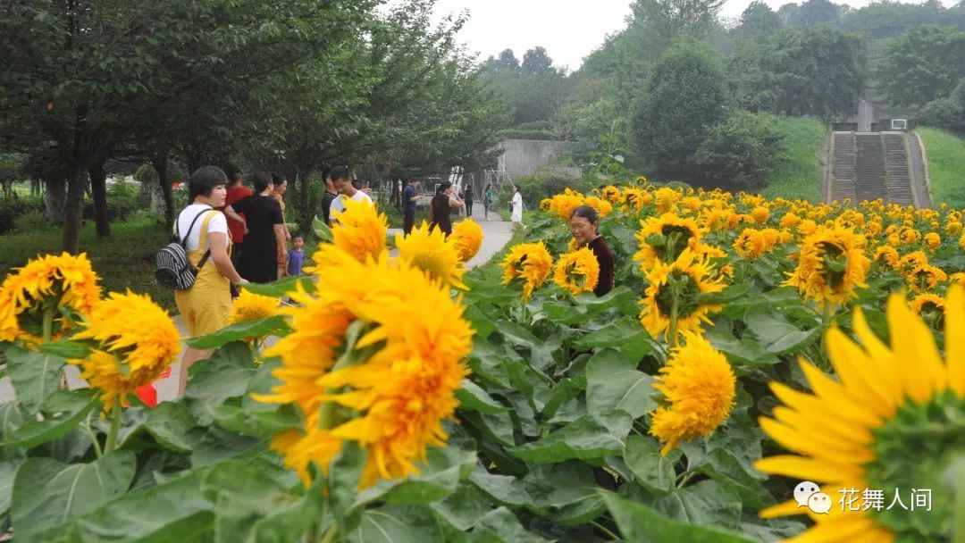 火了火了！成都又新添一个区，地铁10号线直达！夏日纳凉、吃河鲜…3日郊游路线，安排→