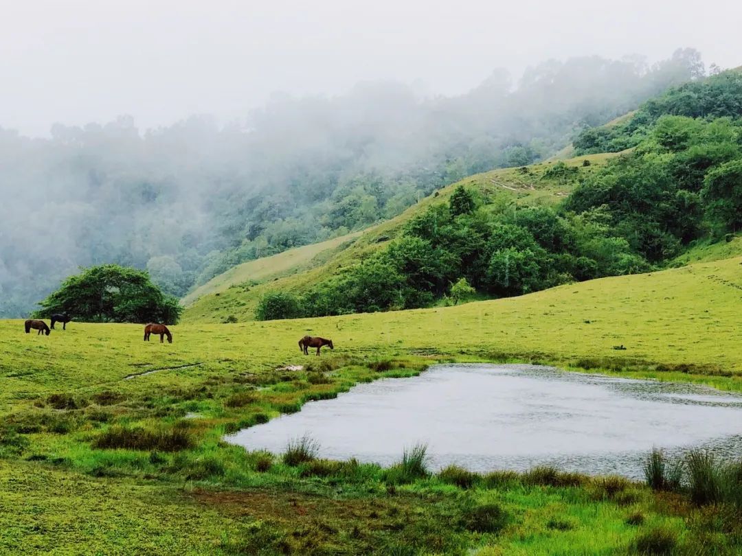 真香！去乐园耍水，到秘境观溪，本周门票福利已送达~