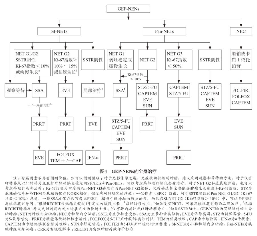 胃神经内分泌肿瘤的治疗,胰神经内分泌肿瘤的最佳治疗方法