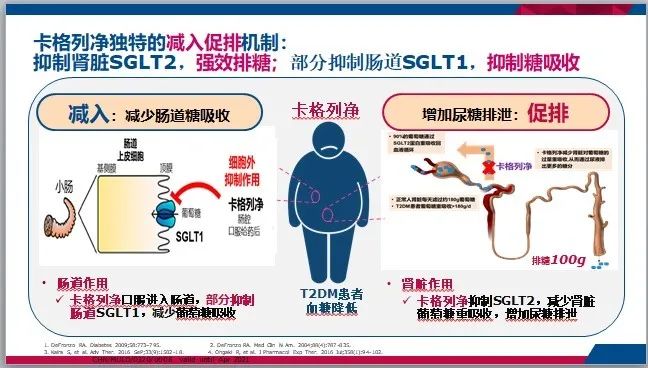 2020肾科高峰论坛会｜拨云见日-SGLT2*制剂抑**卡格列净开启肾病领域的黎明之光