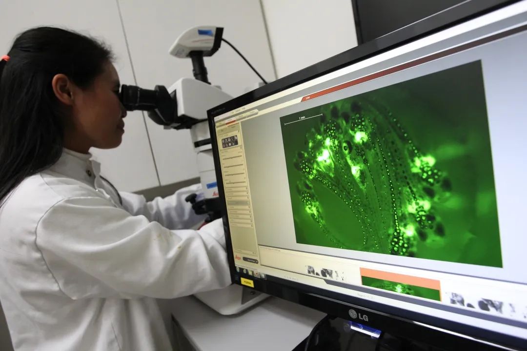 40款防晒霜权威测评,2023防晒霜推荐测评真实