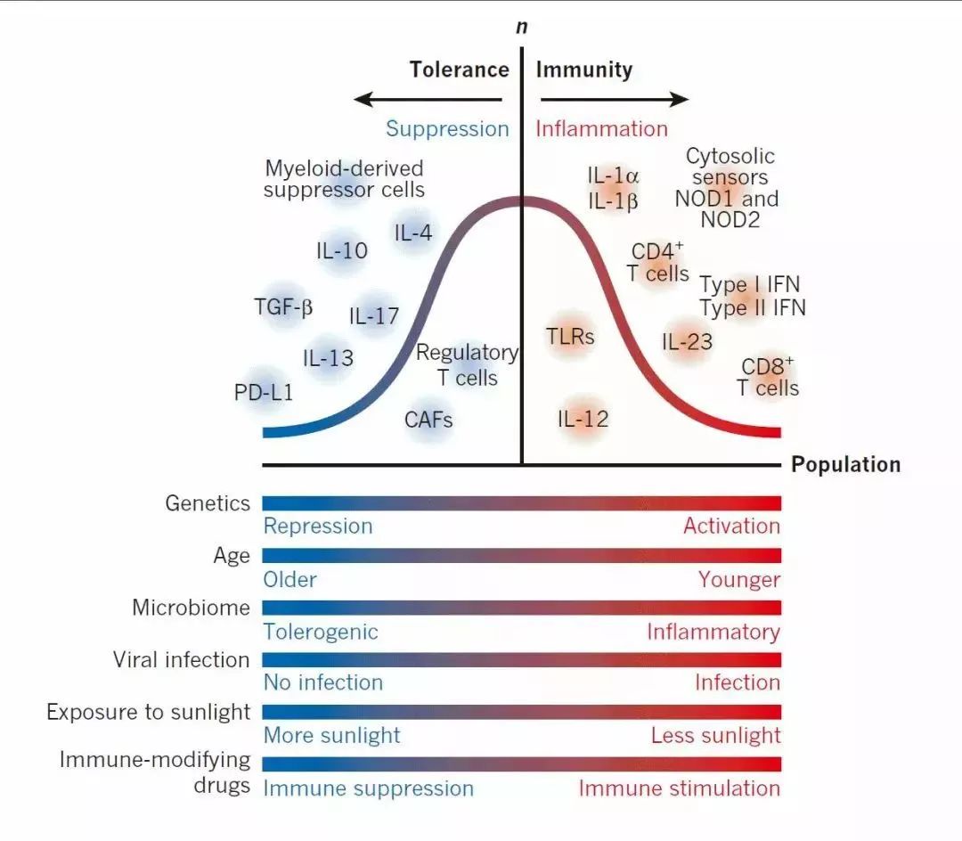 癌症的免疫治疗文献综述论文,综述癌症的免疫细胞疗法