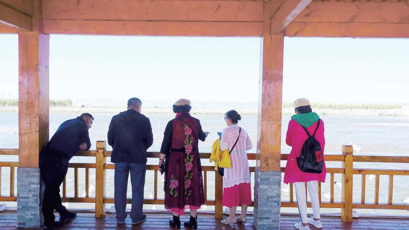 生命的延续青海湖湟鱼洄游,湟鱼洄游季再探青海湖