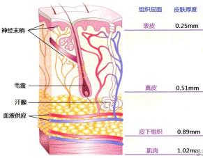 外科烧伤病人的护理教学视频,烧伤患者护理教学查房讲解视频