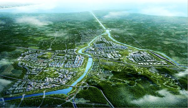 咬定目标不放松砥砺奋进铸辉煌,咬定青山不放松的战略定力