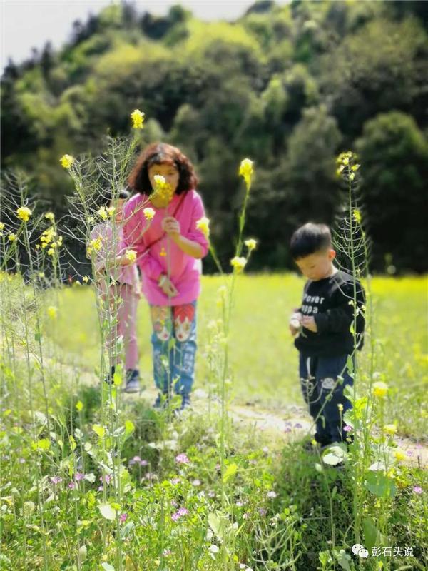 桃源走笔｜爰有乐土得我所