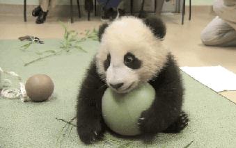 每天放空大脑20分钟,每天发呆5分钟解压视频