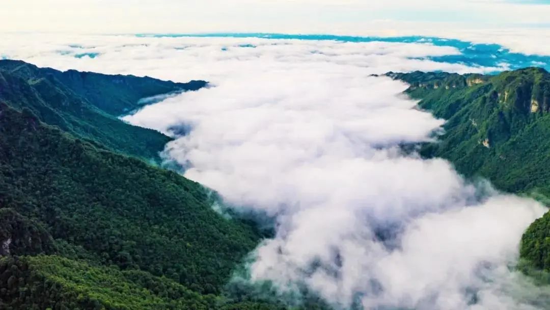 南宁附近最适合游泳避暑的地方,南宁夏天有哪些避暑的地方