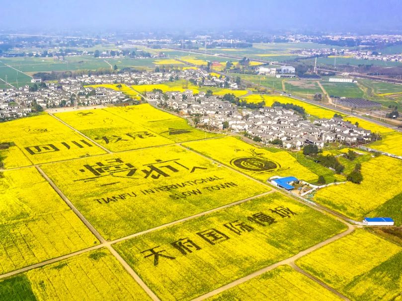 成都绿道潮玩地点推荐,成都绿道附近好玩的地方