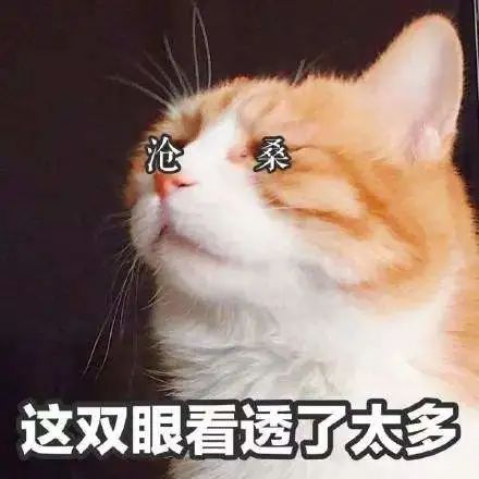 诺基亚当年赚了多少钱,诺基亚一年能挣多少钱