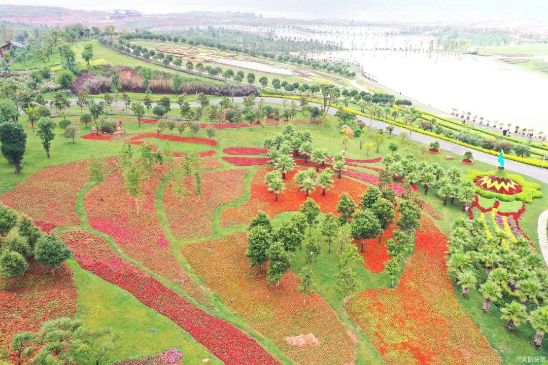 马云打卡衢州网红水亭街,马云弥勒太平湖森林公园