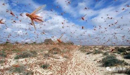 郑长春长篇小说全文,长篇小说郑长春