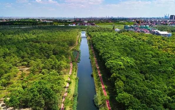上海乡村振兴产业基地,上海宝山开发定位
