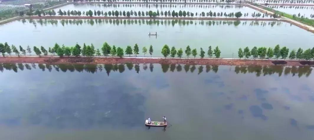 上海乡村振兴产业基地,上海宝山开发定位