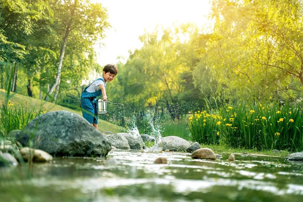 昆虫记法布尔是怎么观察昆虫的,适合儿童看的法布尔昆虫记