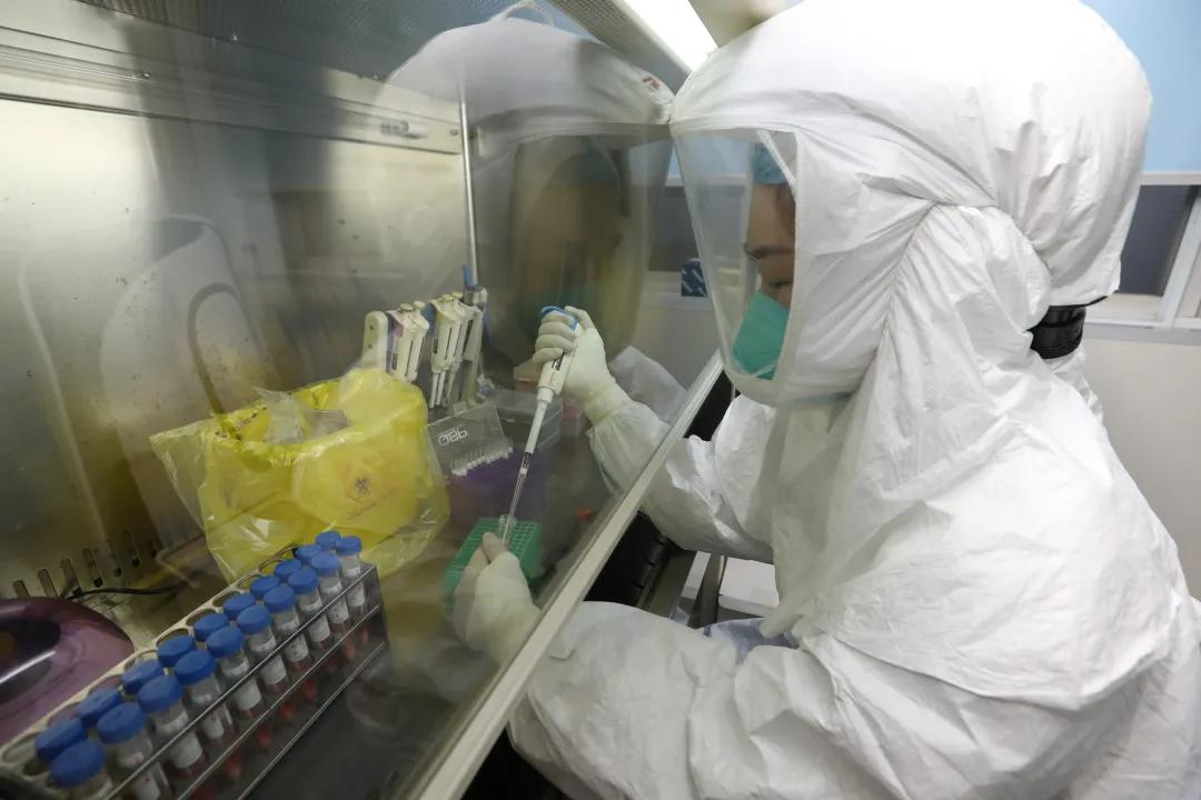 自贡厄瓜多尔冻虾检测,四川自贡厄瓜多尔冻虾