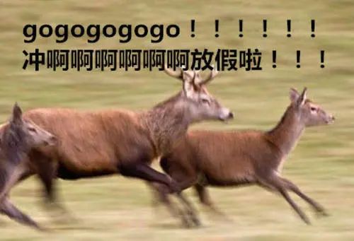 四川人能完全听得懂四川话吗,说四川话只有四川人能听懂