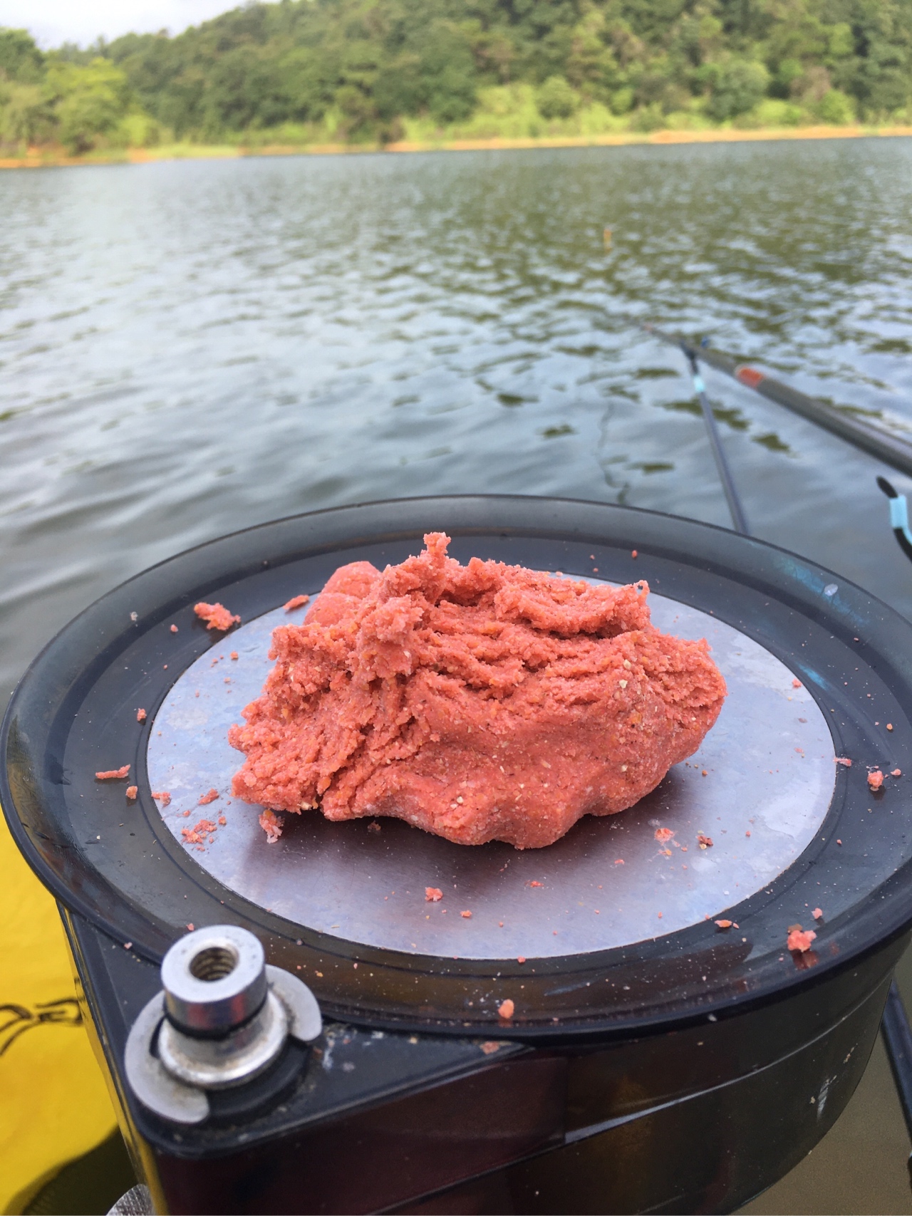 水迳水库孤独的守夜人，一非一草终还梦