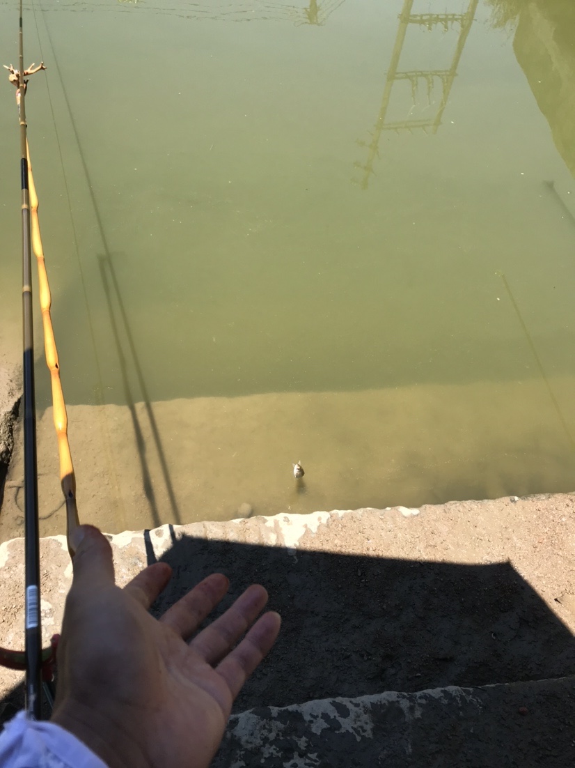 近水楼台先得“鱼”，一不小心成蟹老板