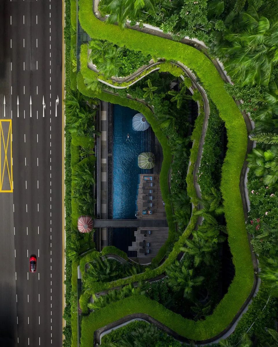 全世界最绿的50张照片