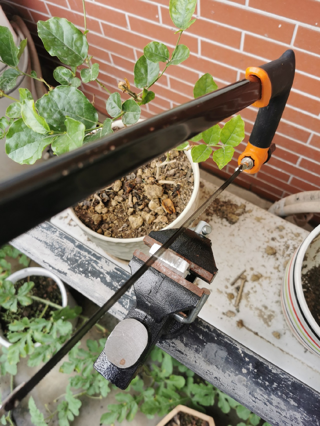 diy能手,diy小能手奖牌