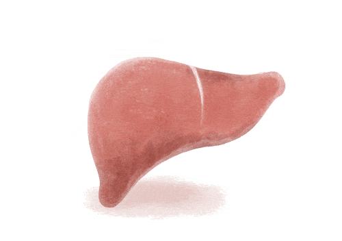 男性肝上有虫卵吗,男子左肝被掏空上面还有虫卵