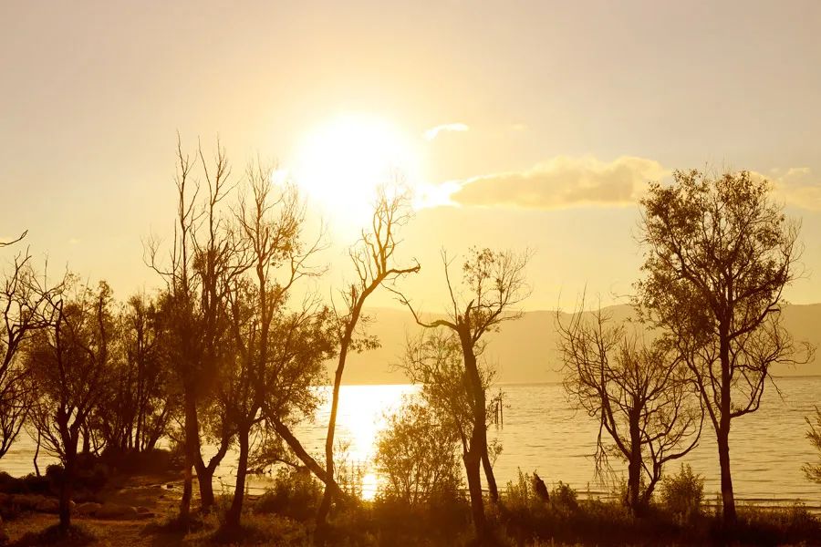染了彼此乡愁，从此长途跋涉