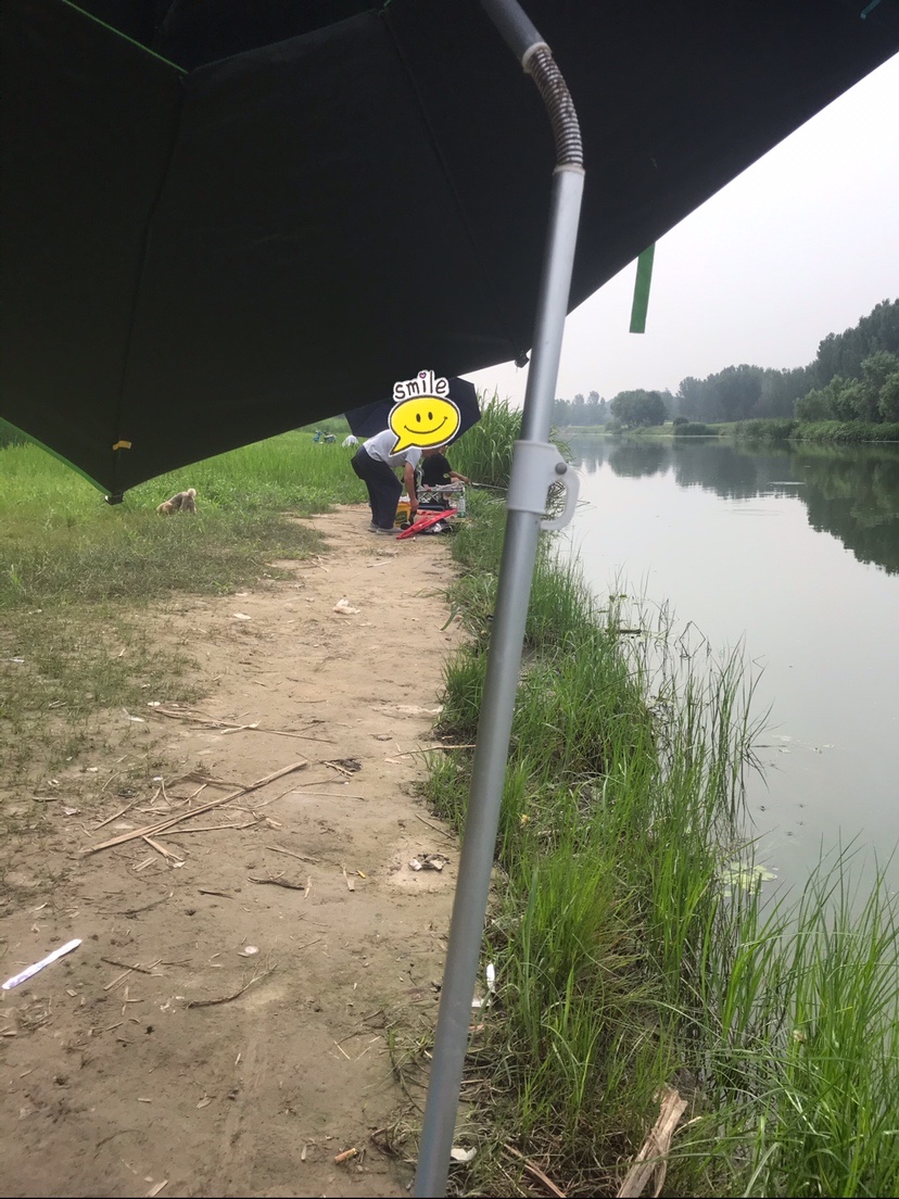 晨钓的收获还是不错的,温榆河钓鱼