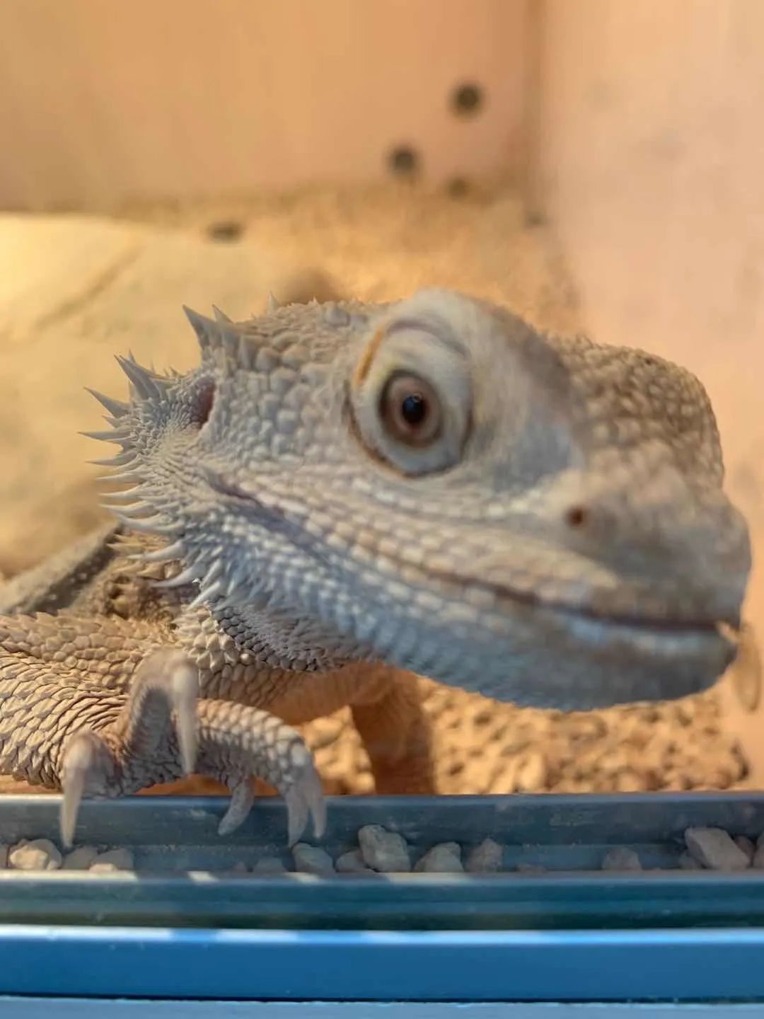 金山区自然博物馆,金山区博物馆有什么