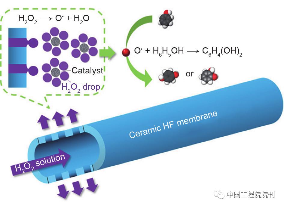 膜生物反应器研究新进展与应用,前沿化学研究课题