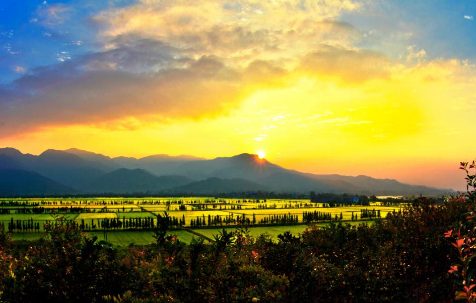 江西日报头版头条,江西日报报道共青