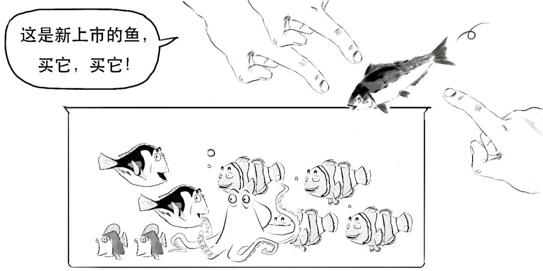 上证指数30分钟结构图解,怎么样才能看懂上证指数