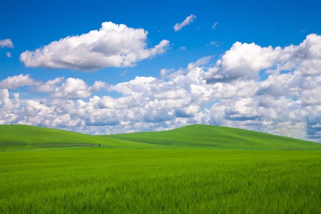 世界草原野奢帐篷酒店,为什么有人愿意住民宿