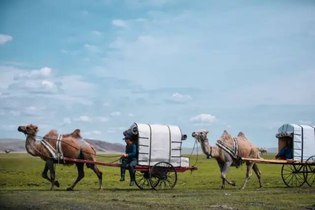 世界草原野奢帐篷酒店,为什么有人愿意住民宿