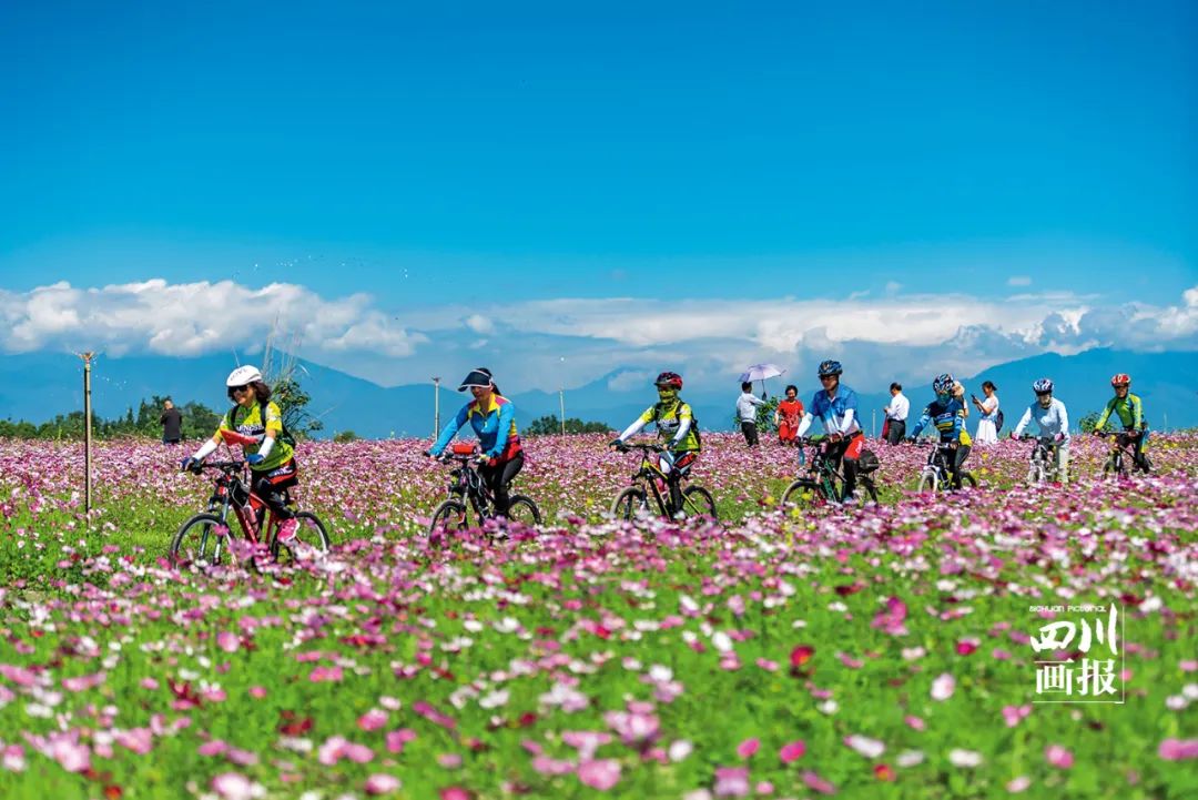 四川成都绿道视频,四川有哪几个绿道