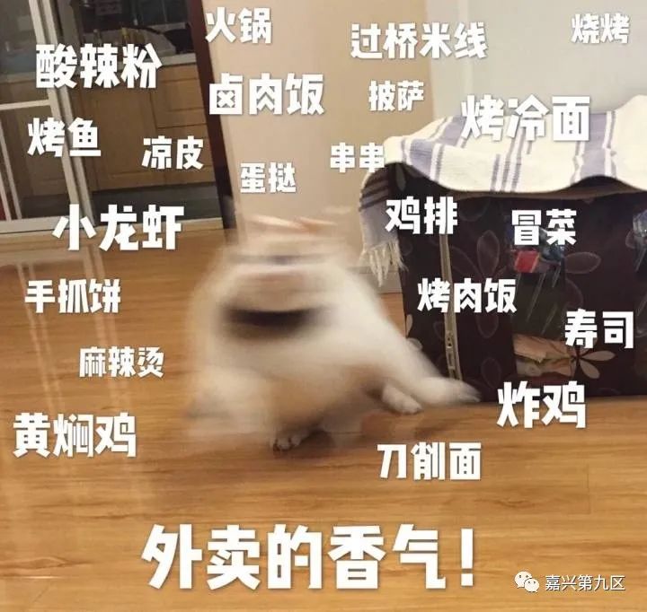 嘉兴外卖新规定,嘉兴外卖曝光