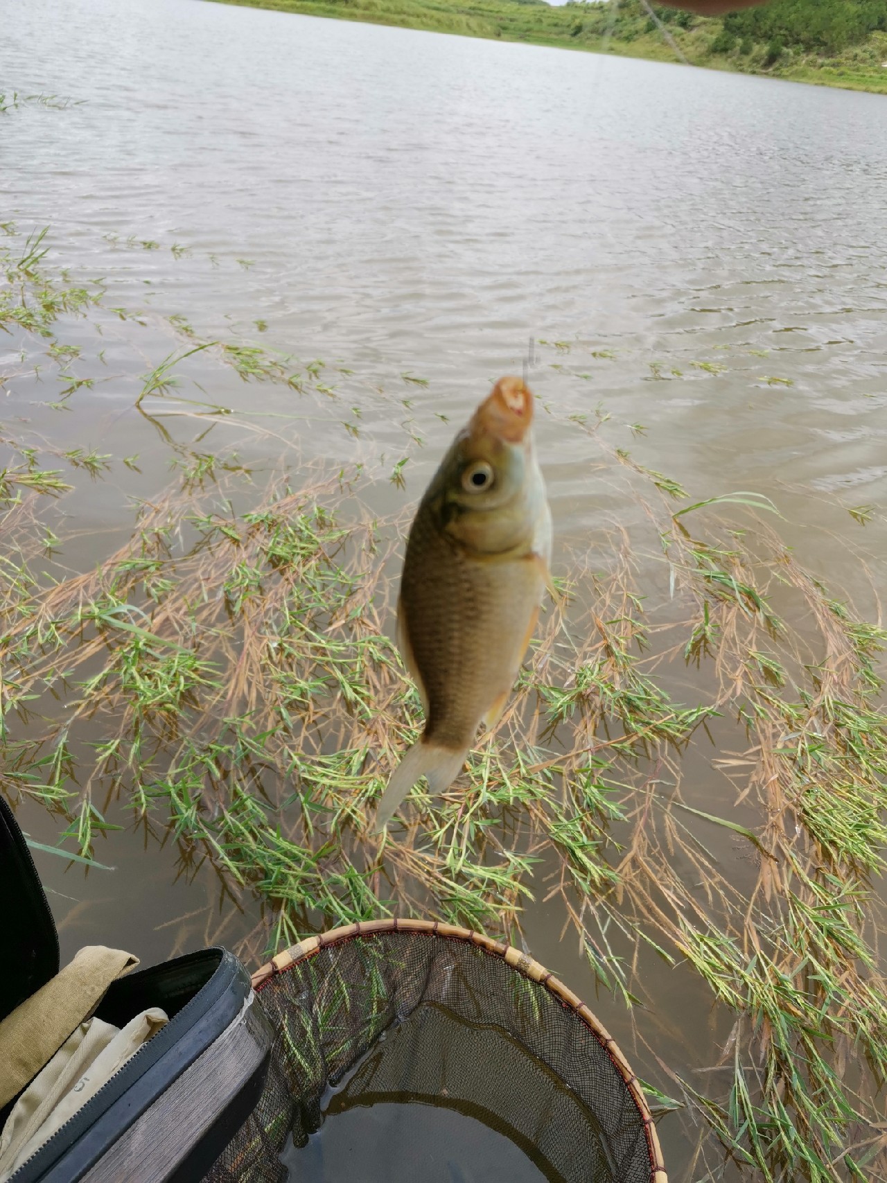 玩了多年的并继和碳素竿，总是在不断的折腾和寻找