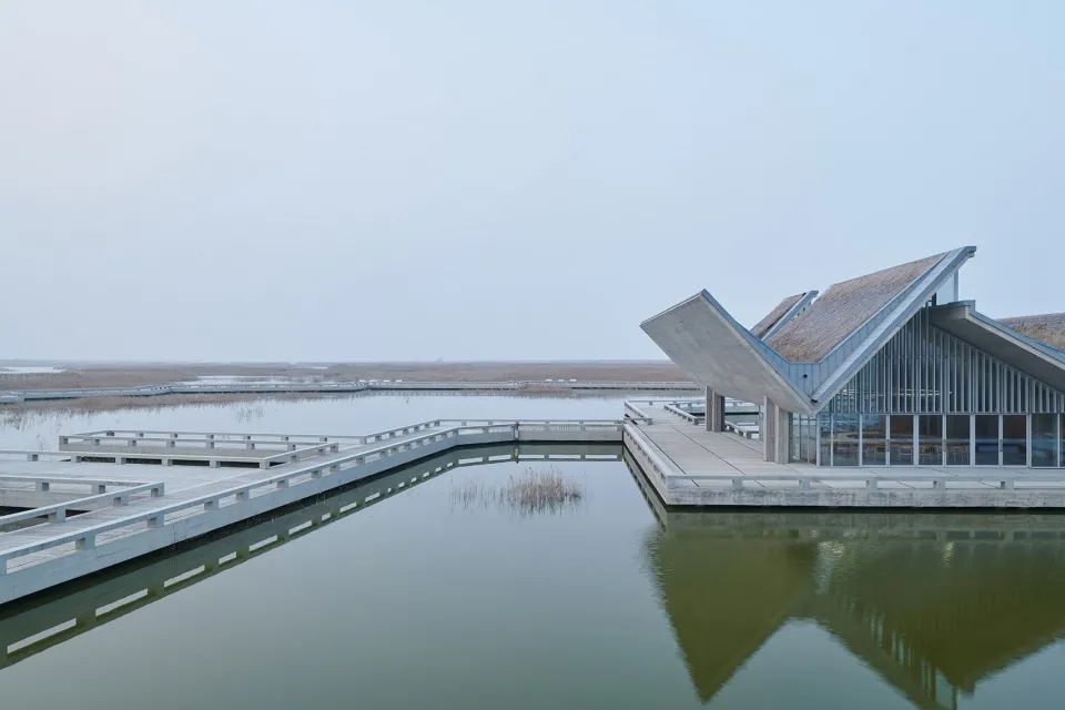 探索崇明东滩湿地公园的奥秘,崇明东滩湿地科研中心