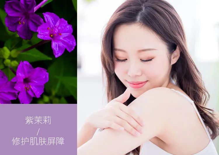 三伏天艾草熏后背多久熏一次,三伏天用艾草泡澡几天泡一次