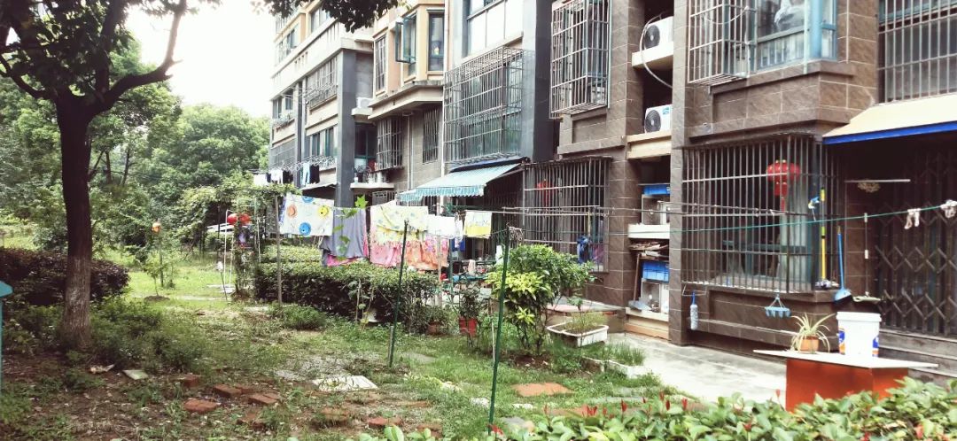 地段很好质量不好的房子,地段好配套全还是现房