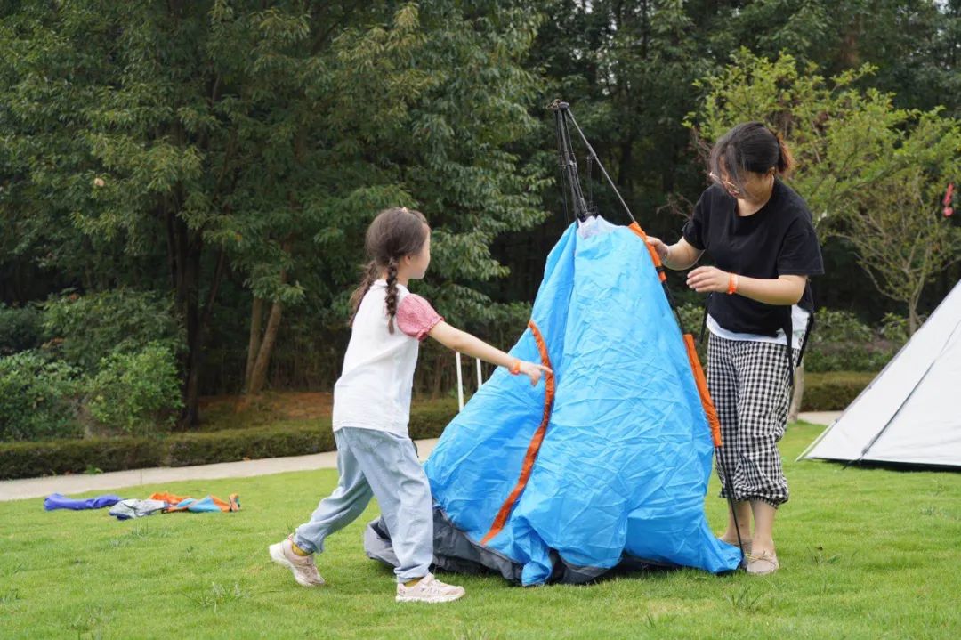 成都周边森林露营看萤火虫,成都周边森林公园露营