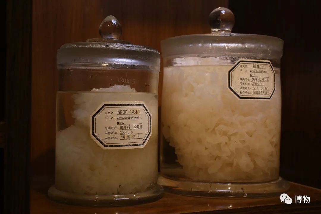 银耳在解放前的价格,银耳的巅峰之作