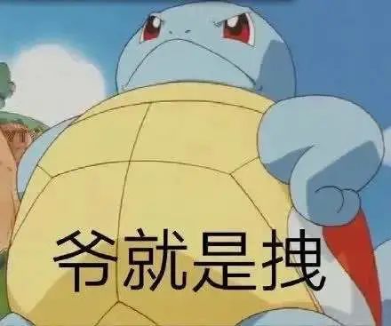 为了阻止一些中国大爷拍鸟，我们要给他们安利这个