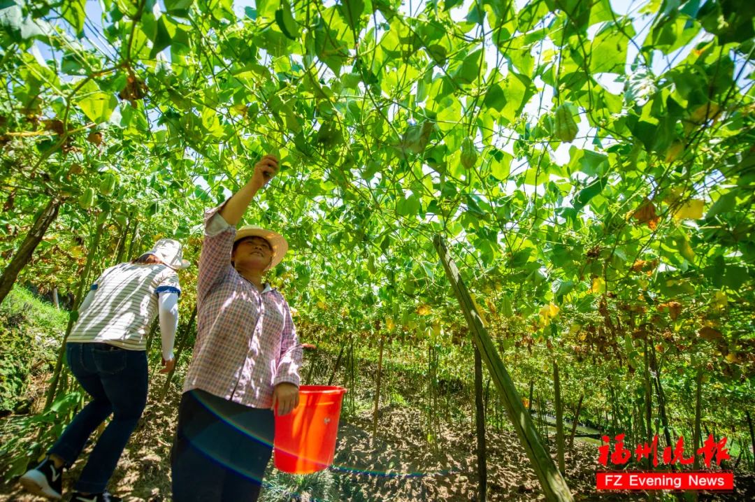 孟浩然过故人庄图片,过故人庄孟浩然真实版