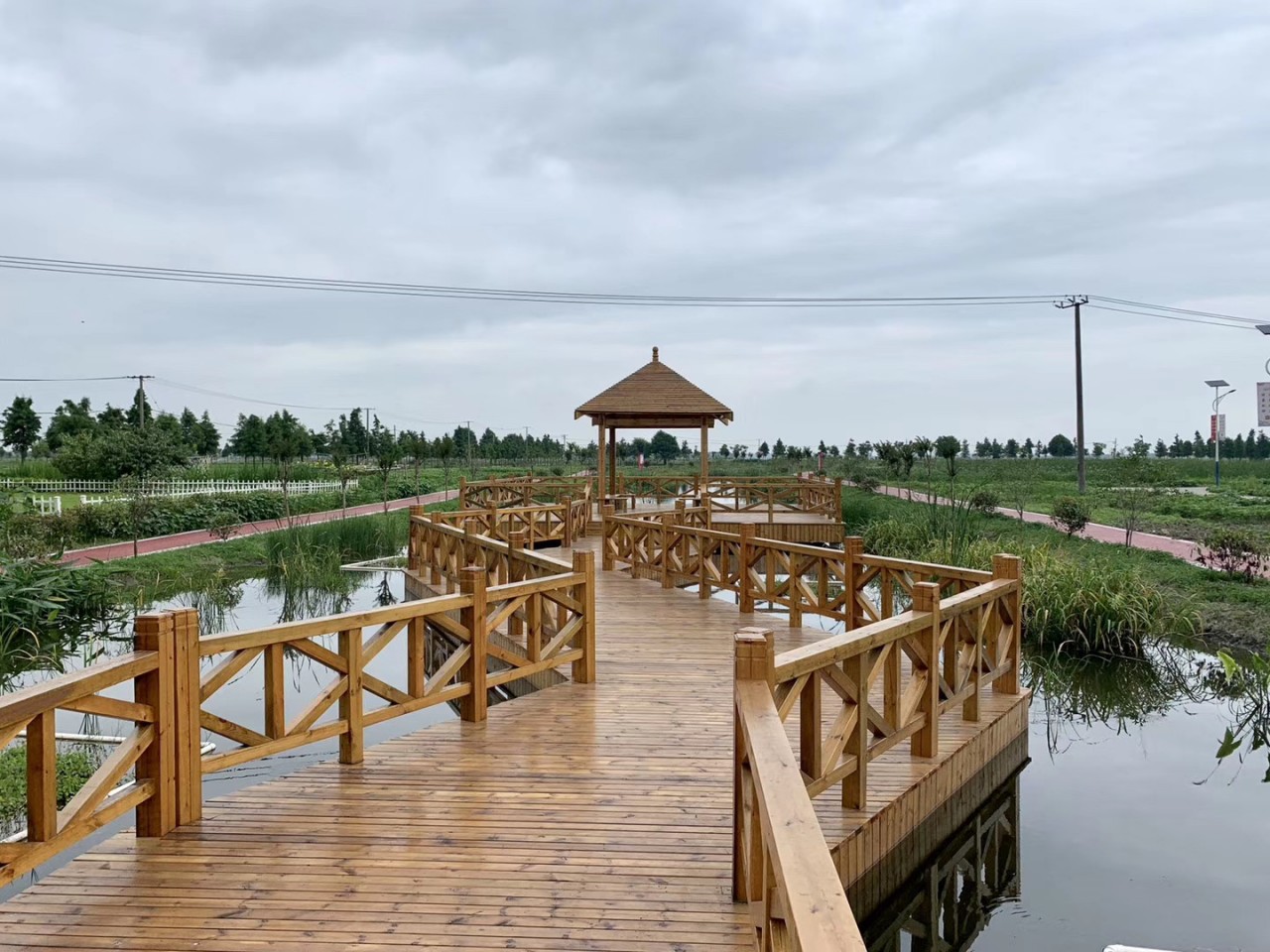 走青浦听江南｜“万水千砖”双祥村，百花十人好田园