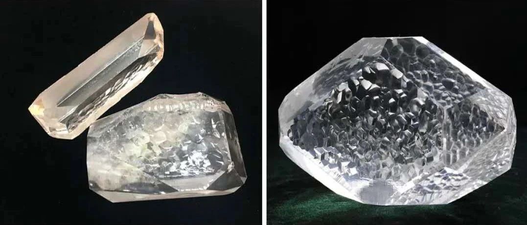 小料观察神秘生物,小料科普大师