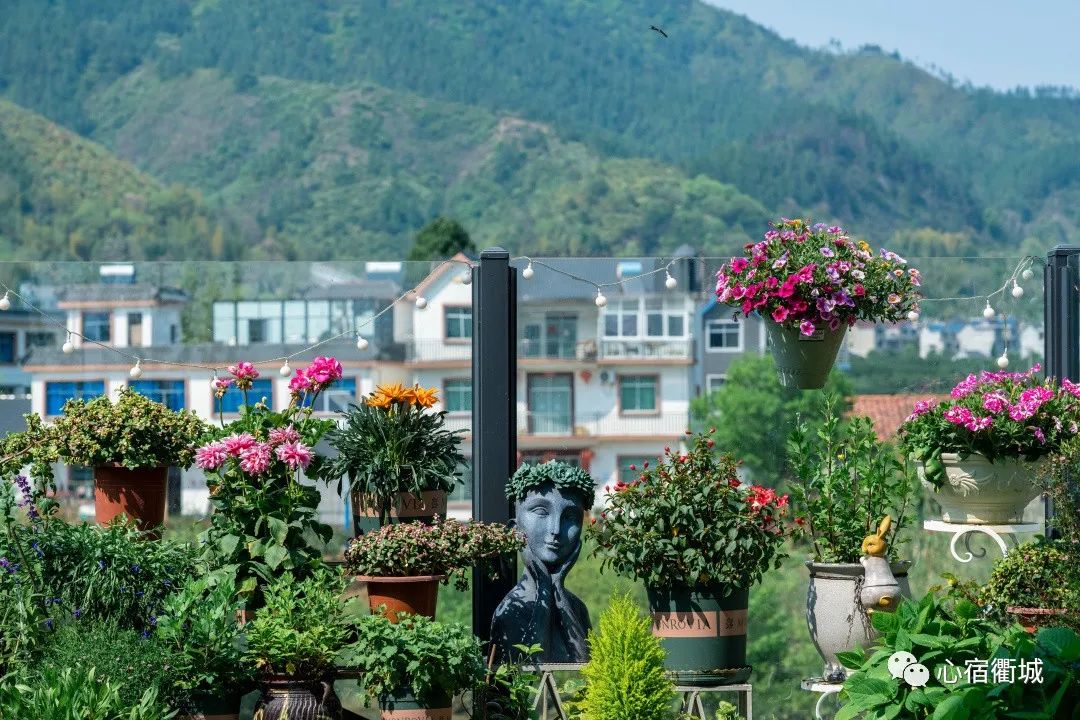 衢州十大顶级民宿,适合冬天去的衢州民宿