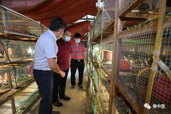 佛山市中医院抗击疫情,奋进新征程弘扬主旋律