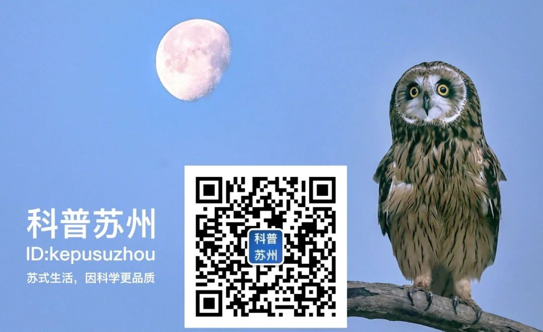 黑咖啡减肥是交智商税吗,喝咖啡能减肥是不是智商税