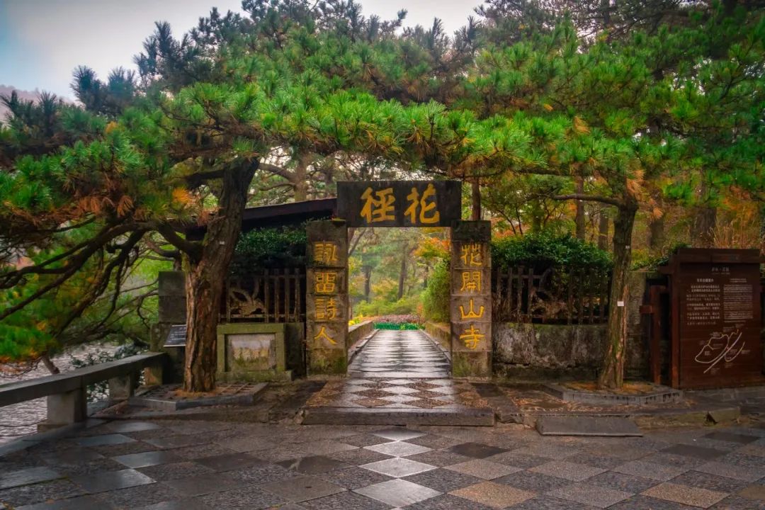 庐山真面目怎么辨别,庐山真面目近义词